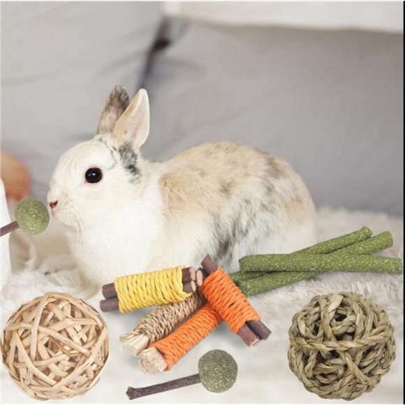 Rabbit Toys Bunny Toys 26Pcs Natural Timothy Hay Sticks Apple Wood Sticks - Picture 6 of 7